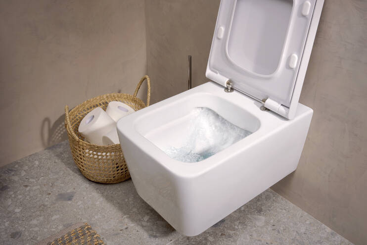 Close-Up: Wand WC AquaFall Flush  SmartClean