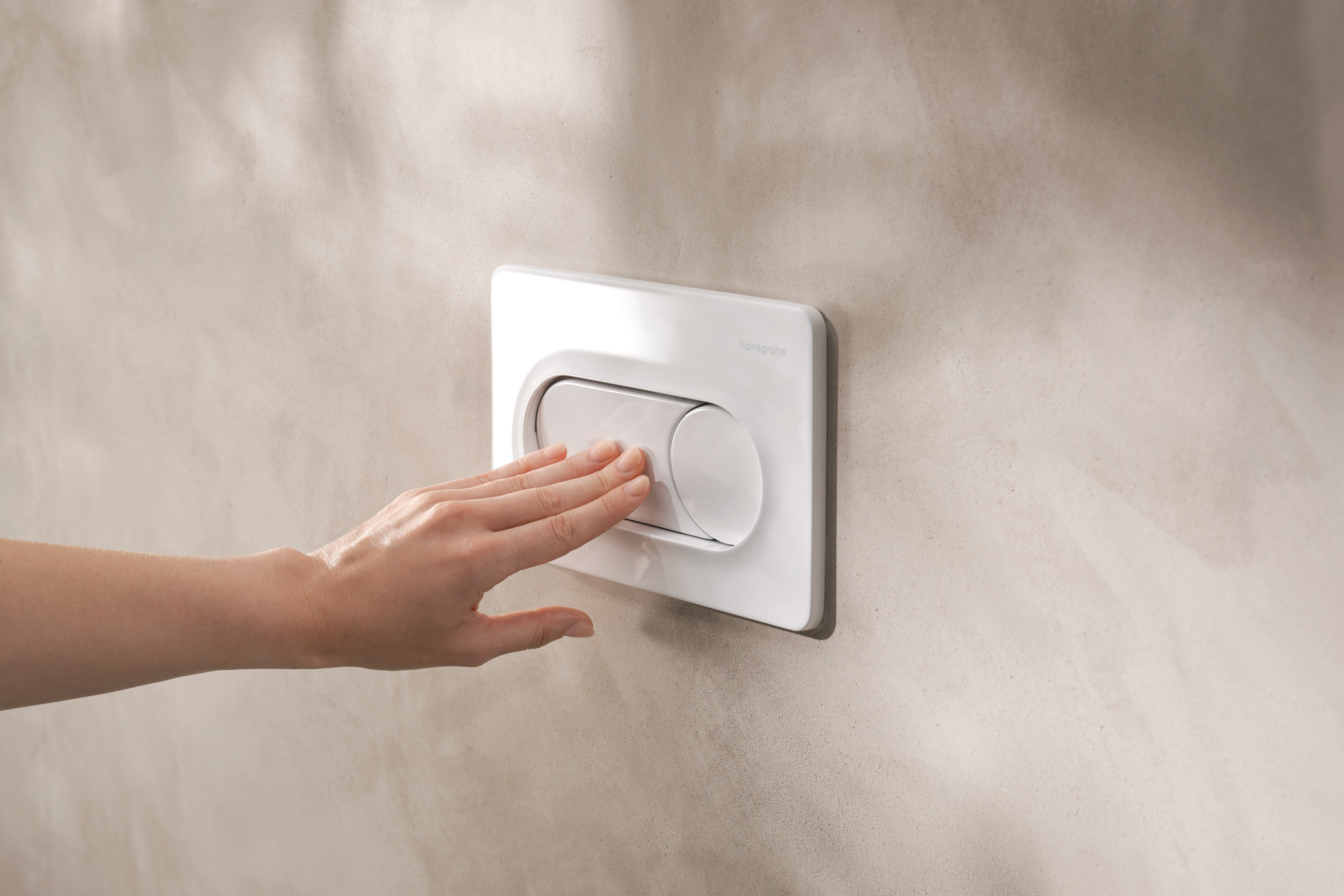 Close-up: Flush plate for dual flush 1