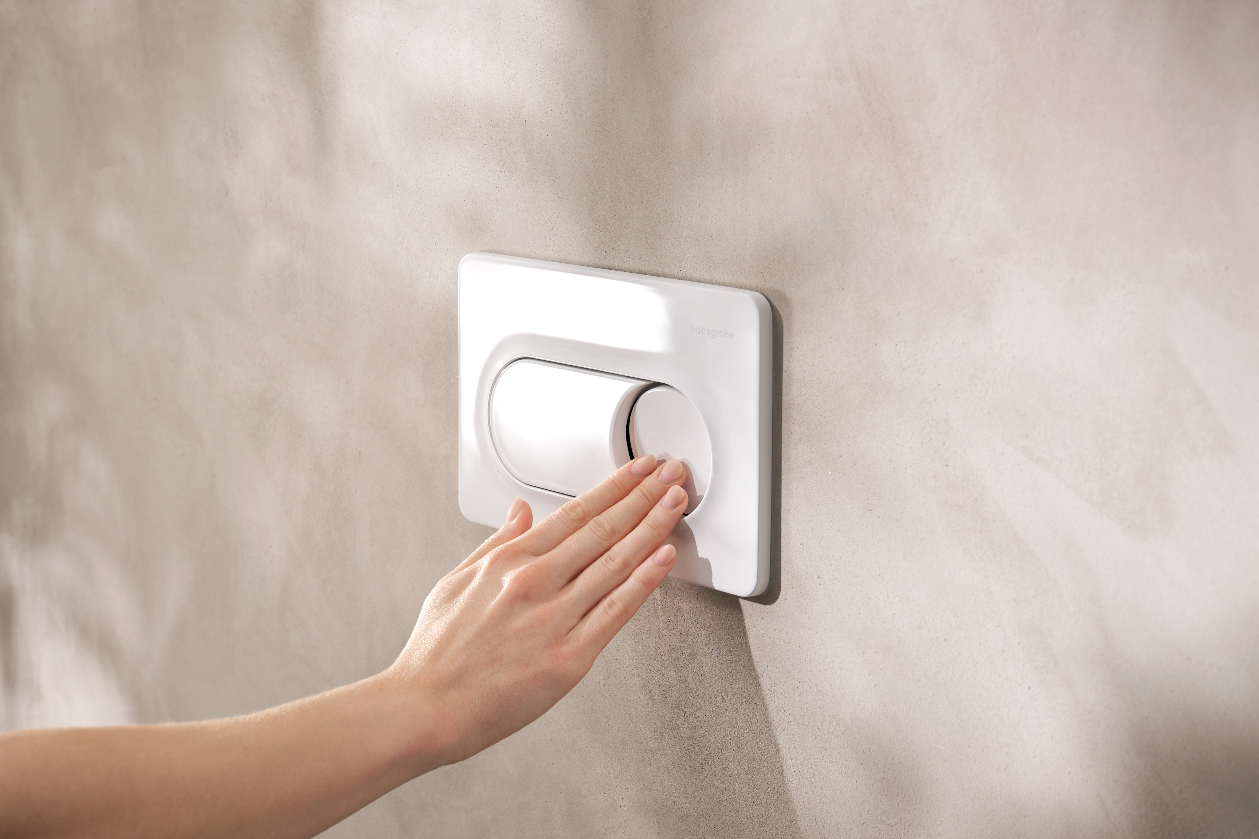 Close-up: Flush plate for dual flush 3