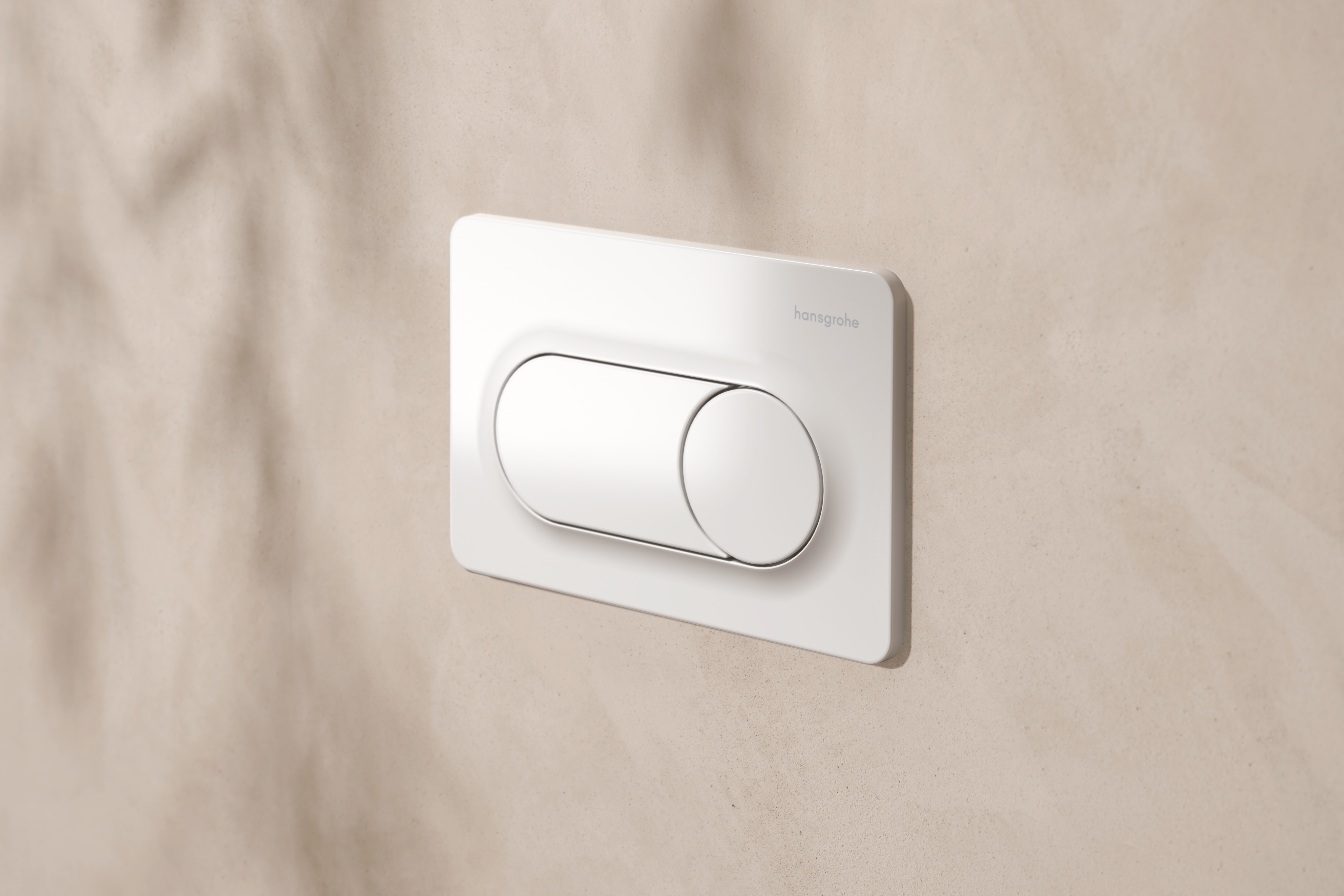 Close-up: Flush plate for dual flush 4