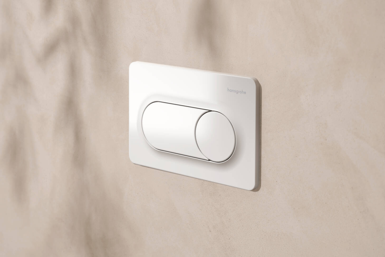 Close-up: Flush plate for dual flush 4