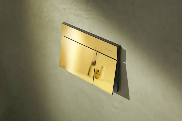 Close-Up: Betätigungsplatte für 2-Mengen-Spülung 1