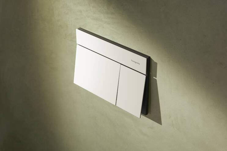 Close-Up: Betätigungsplatte für 2-Mengen-Spülung 1