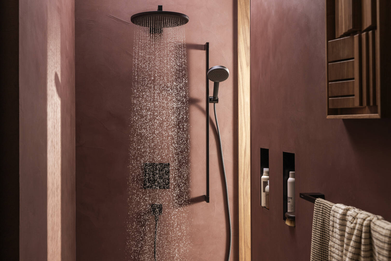 Close-up: Overhead shower 300 1jet EcoSmart 5