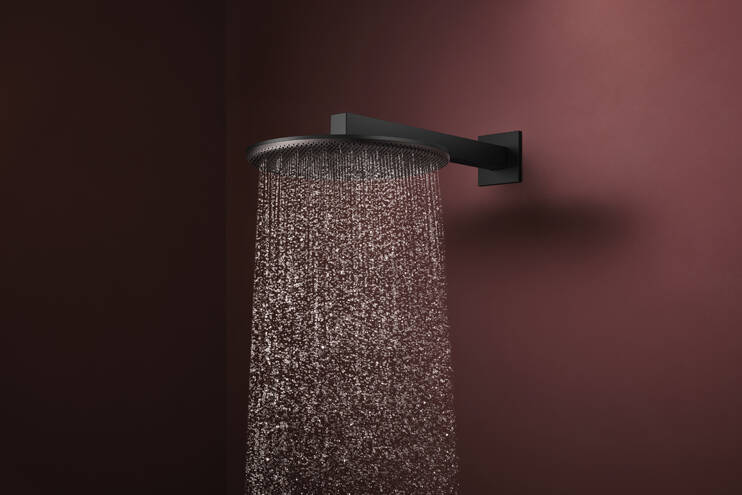 Close-up: Overhead shower 300 2jet with shower arm 1