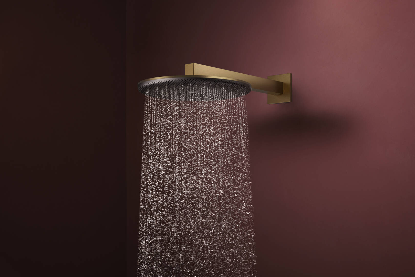 Close-Up: Hodedusj 300 2jet med dusjbend 1