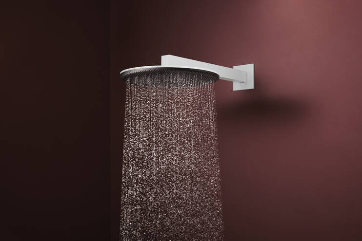 Close-up: Overhead shower 300 2jet with shower arm 1