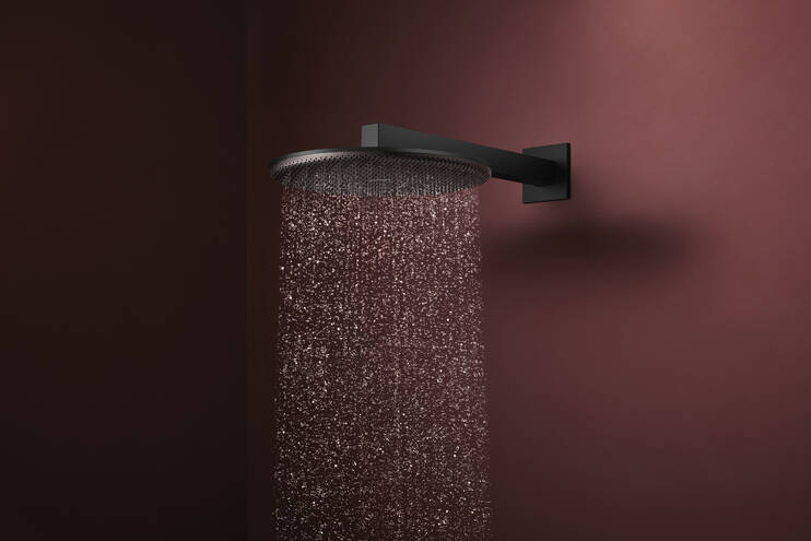 Close-up: Overhead shower 300 1jet EcoSmart 1