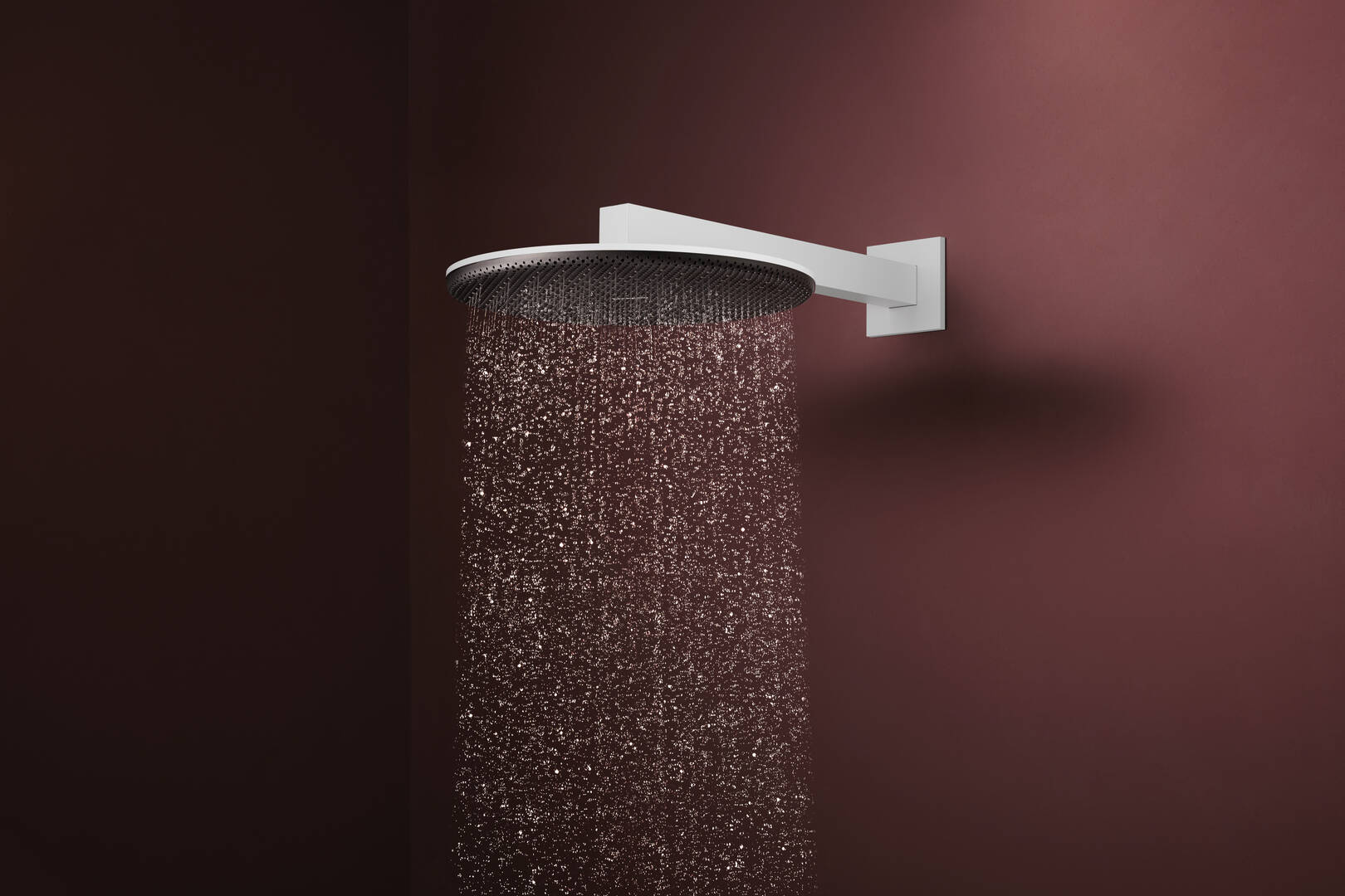 Primer plano: Ducha fija 300 2jet EcoSmart con brazo de ducha 1