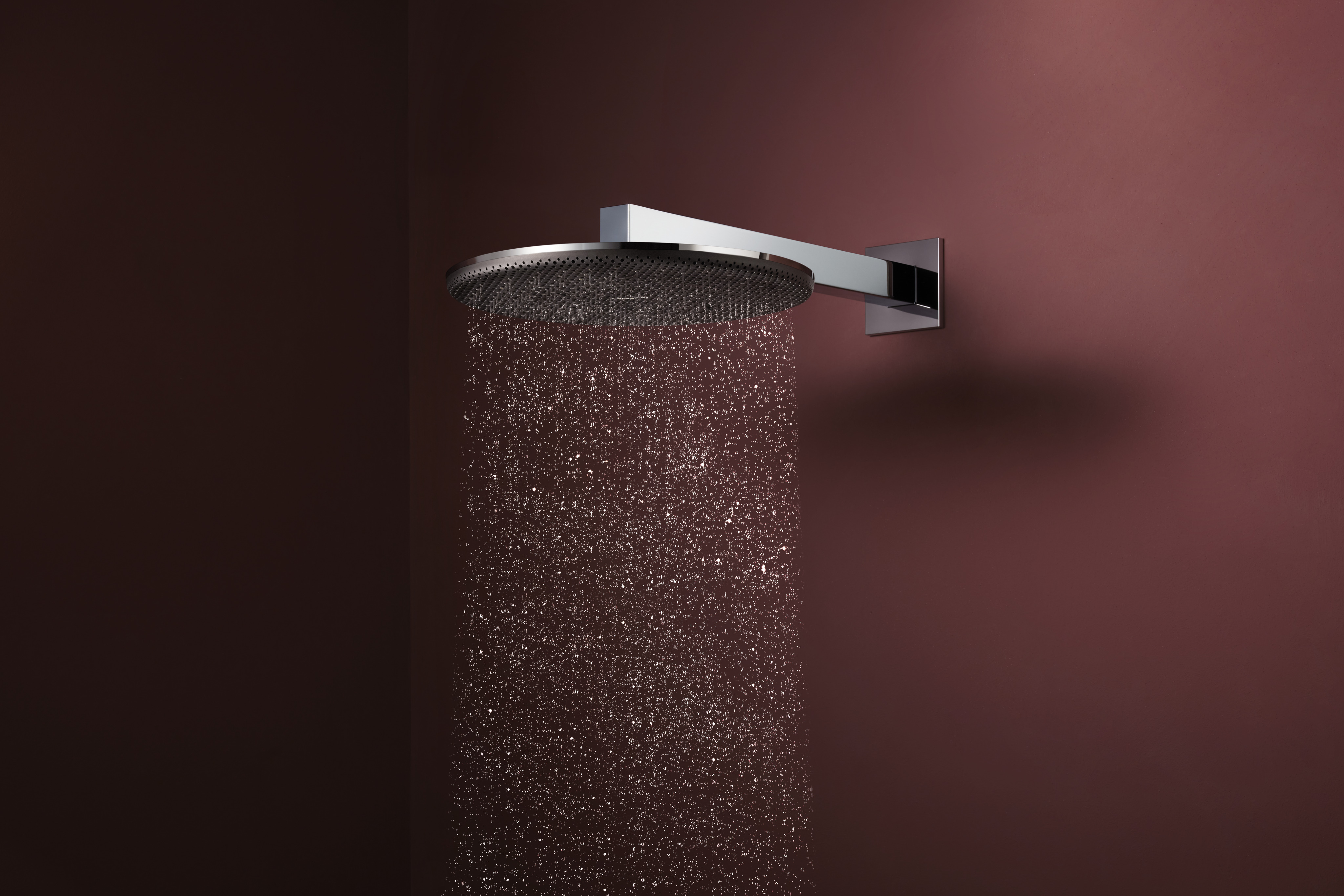 Close-up: Showerhead 300 2-Jet 1.75 GPM with shower arm 1