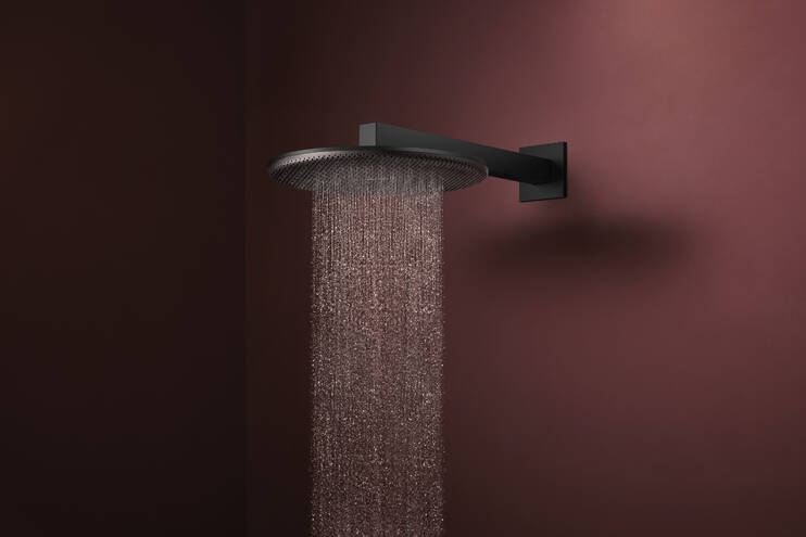 Close-up: Overhead shower 300 2jet with shower arm 2