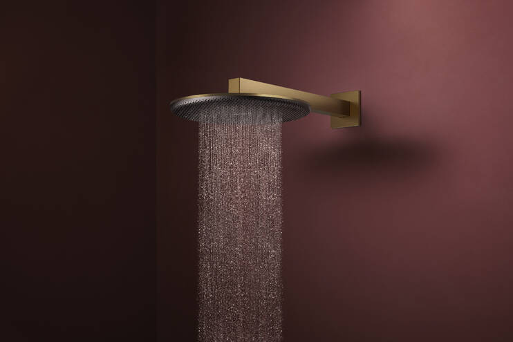 Close-Up: Hodedusj 300 2jet med dusjbend 2