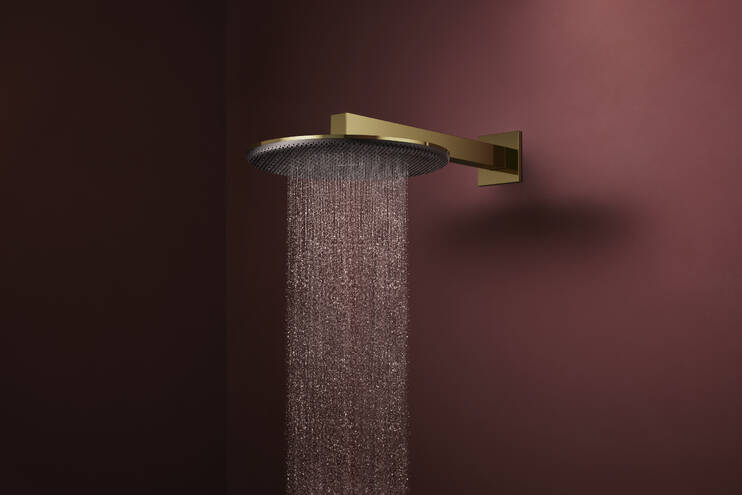 Close-up: Overhead shower 300 2jet with shower arm 2