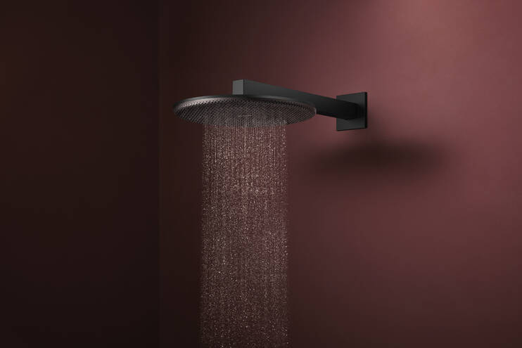 Close-up: Overhead shower 300 1jet EcoSmart 2