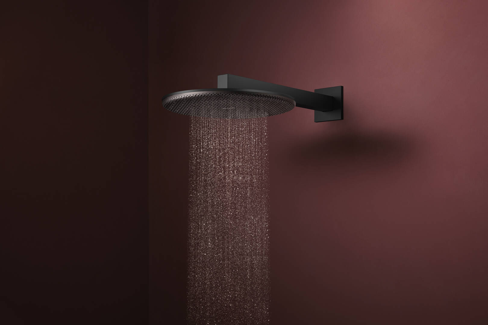 Close-up: Overhead shower 300 1jet EcoSmart 2