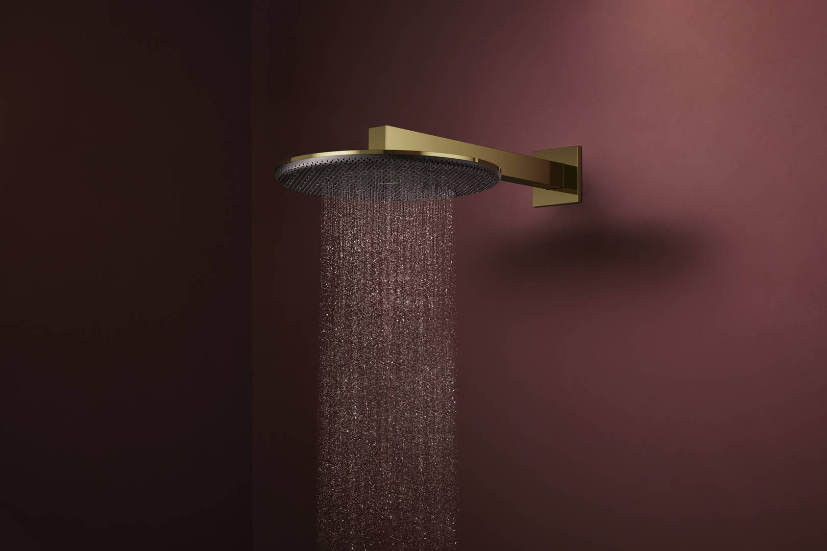 Close-up: Overhead shower 300 1jet EcoSmart 2
