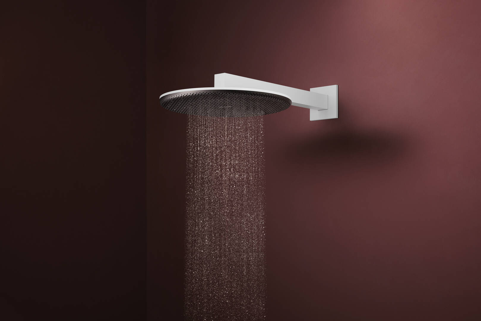 Primer plano: Ducha fija 300 2jet EcoSmart con brazo de ducha 3