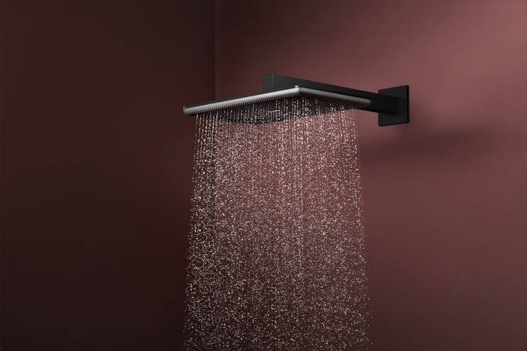 Close-up: Overhead shower 210/340 2jet with shower arm 1