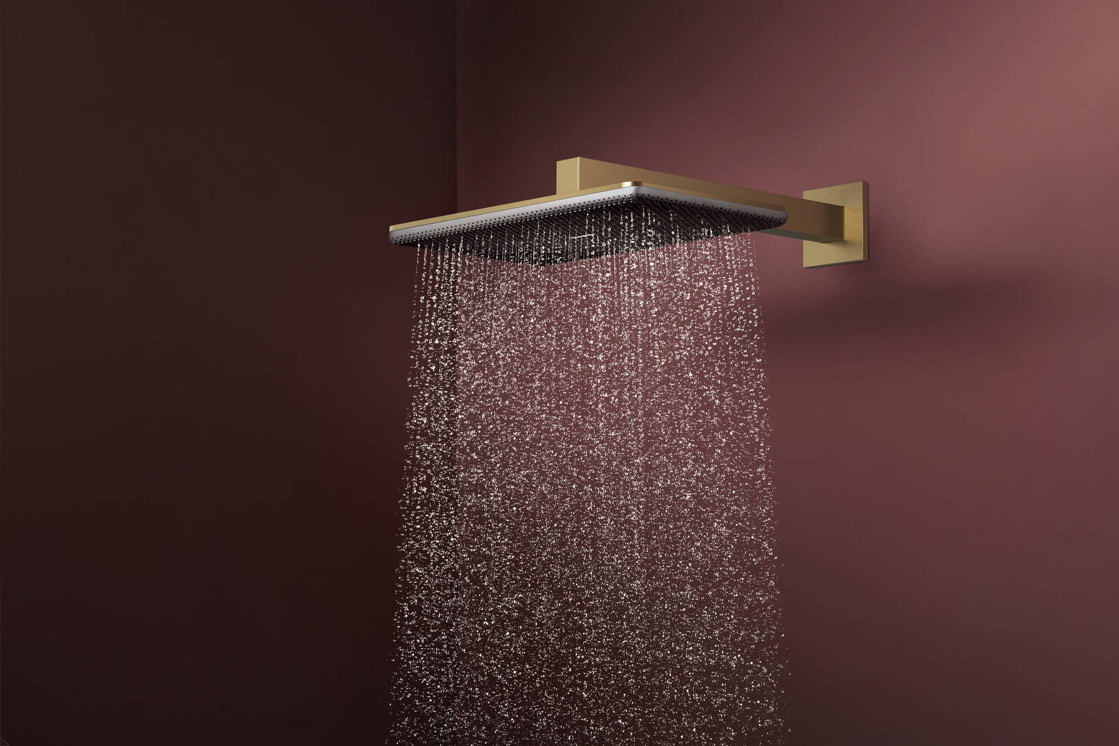 Close-up: Overhead shower 210/340 2jet with shower arm 1