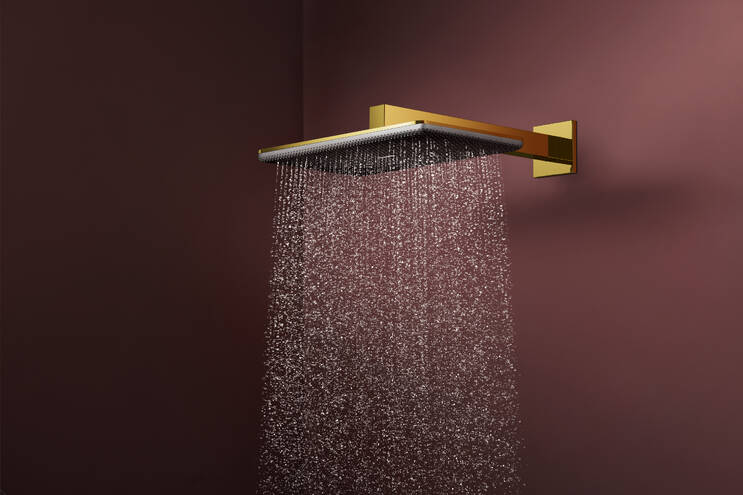 Close-up: Overhead shower 210/340 2jet with shower arm 1