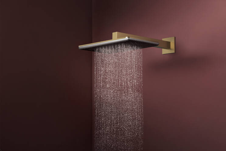 Close-up: Overhead shower 210/340 2jet with shower arm 2