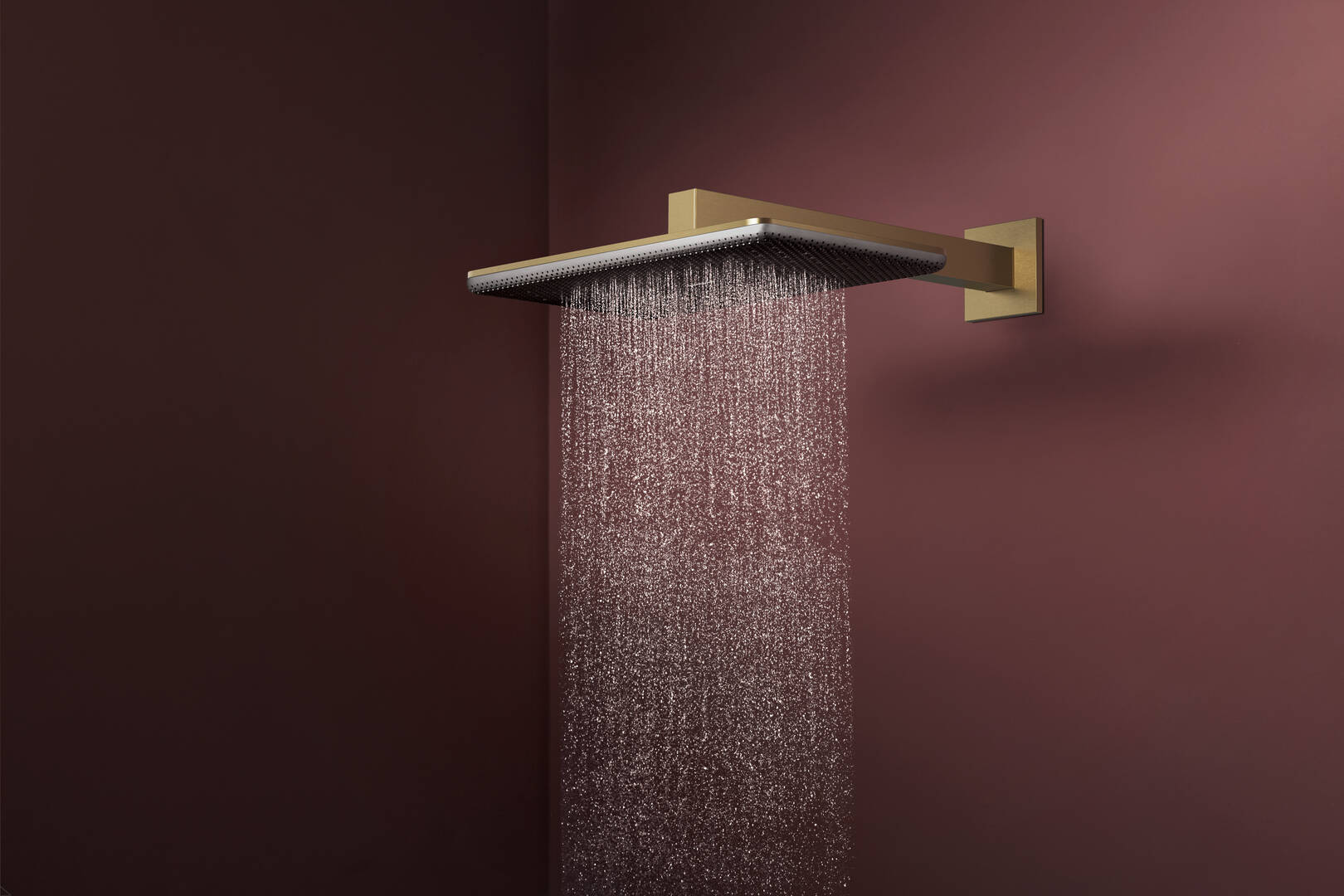 Close-up: Overhead shower 210/340 2jet with shower arm 2