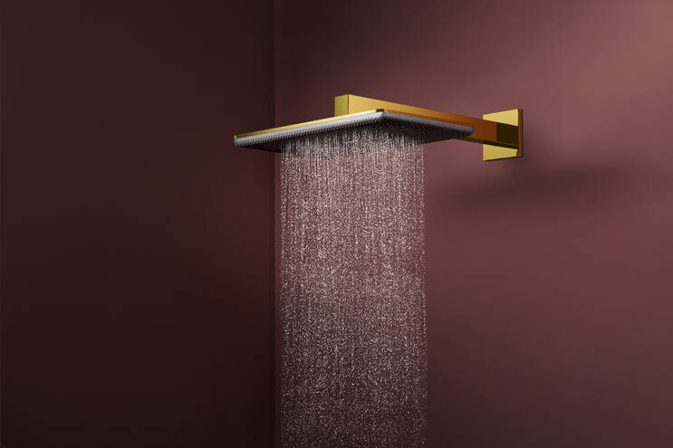 Close-up: Overhead shower 210/340 2jet with shower arm 2