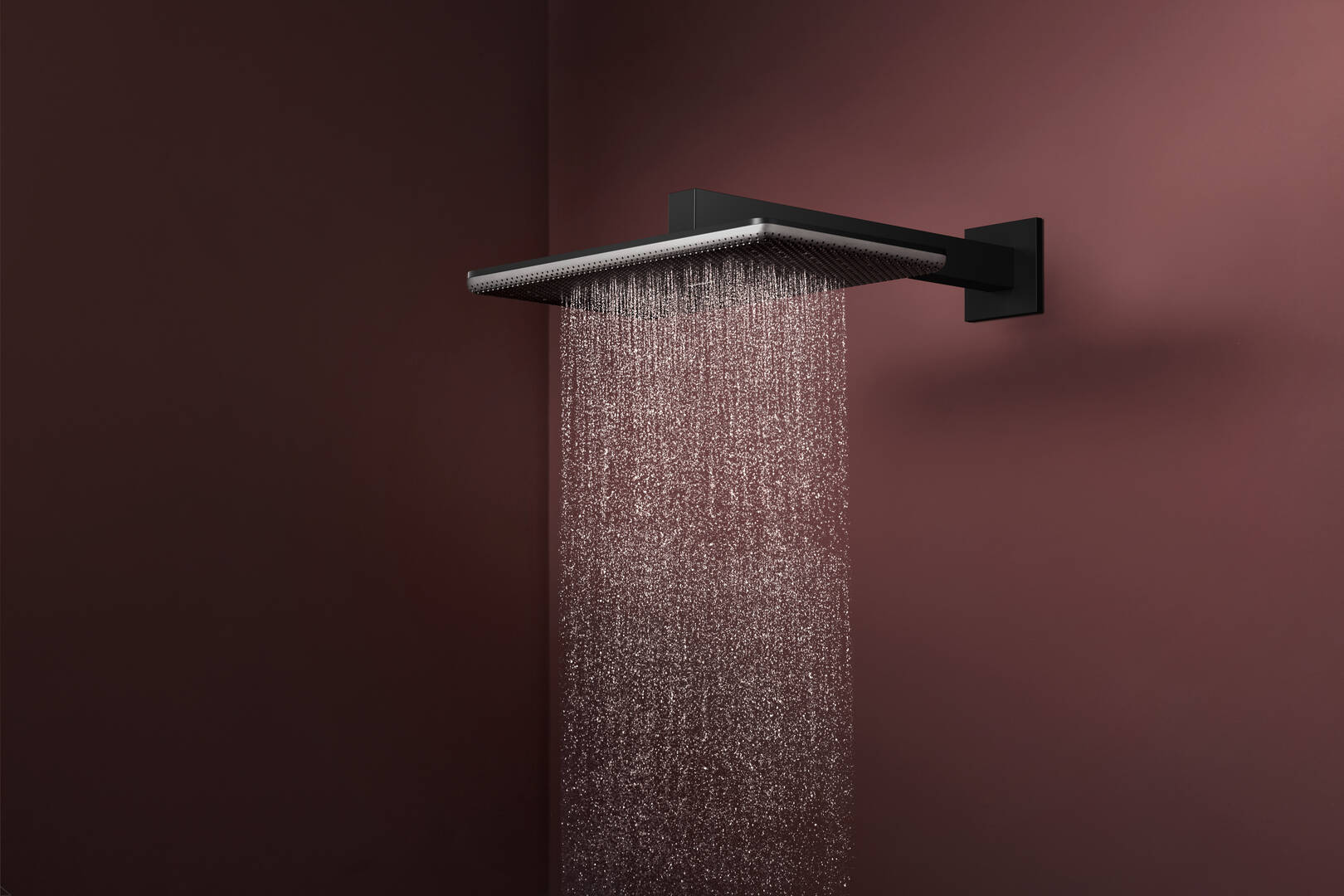 Close-up: Overhead shower 210/340 2jet with shower arm 2