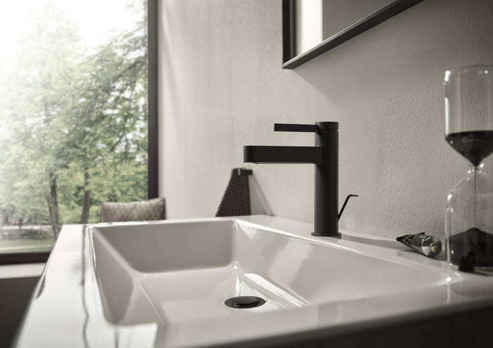 Primo piano: Miscelatore monocomando lavabo 110 con salterello 1