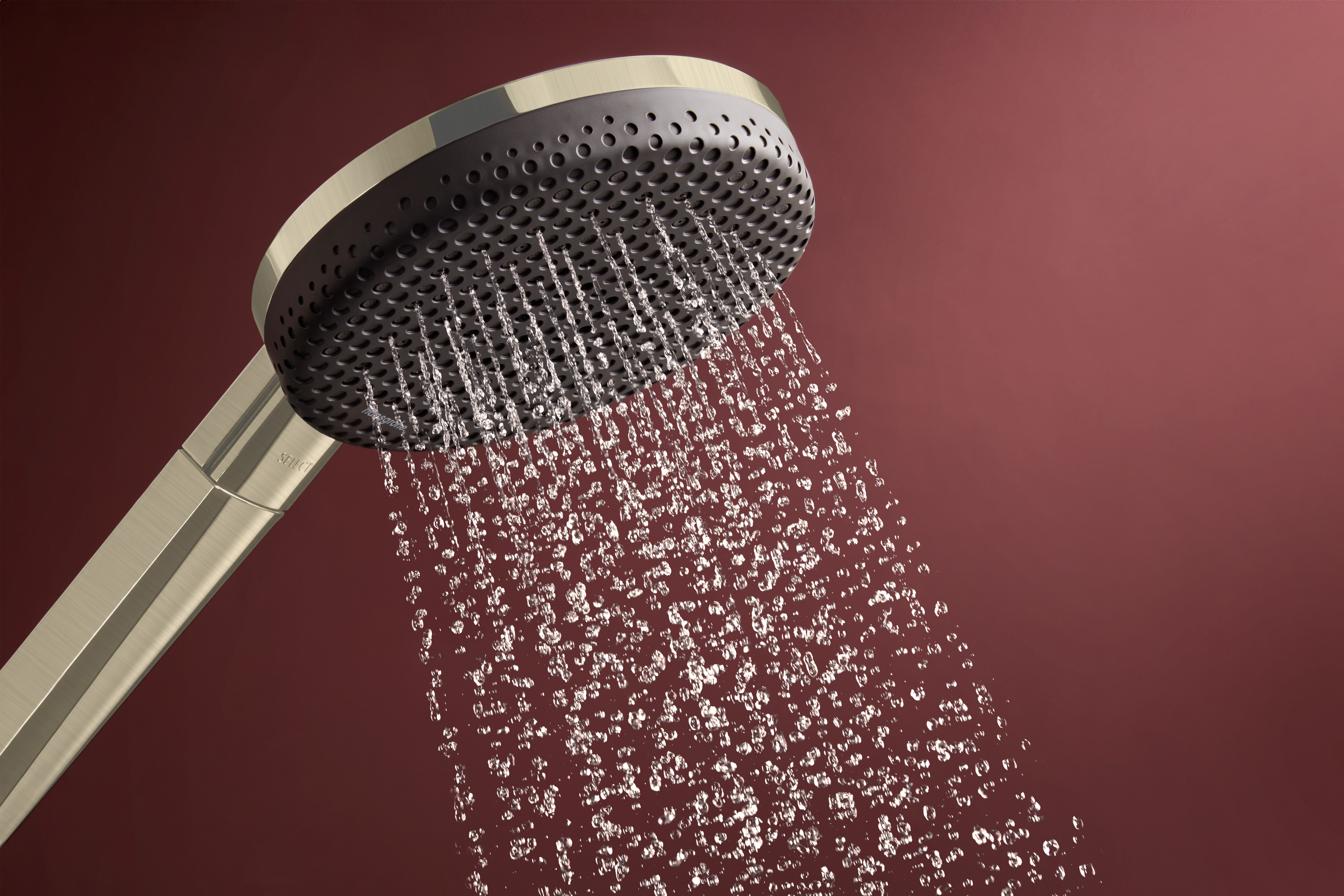 Close-up: Handshower 125 3-Jet  1.75 GPM
