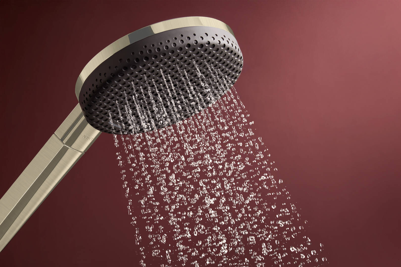 Close-up: Handshower 125 3-Jet  1.75 GPM
