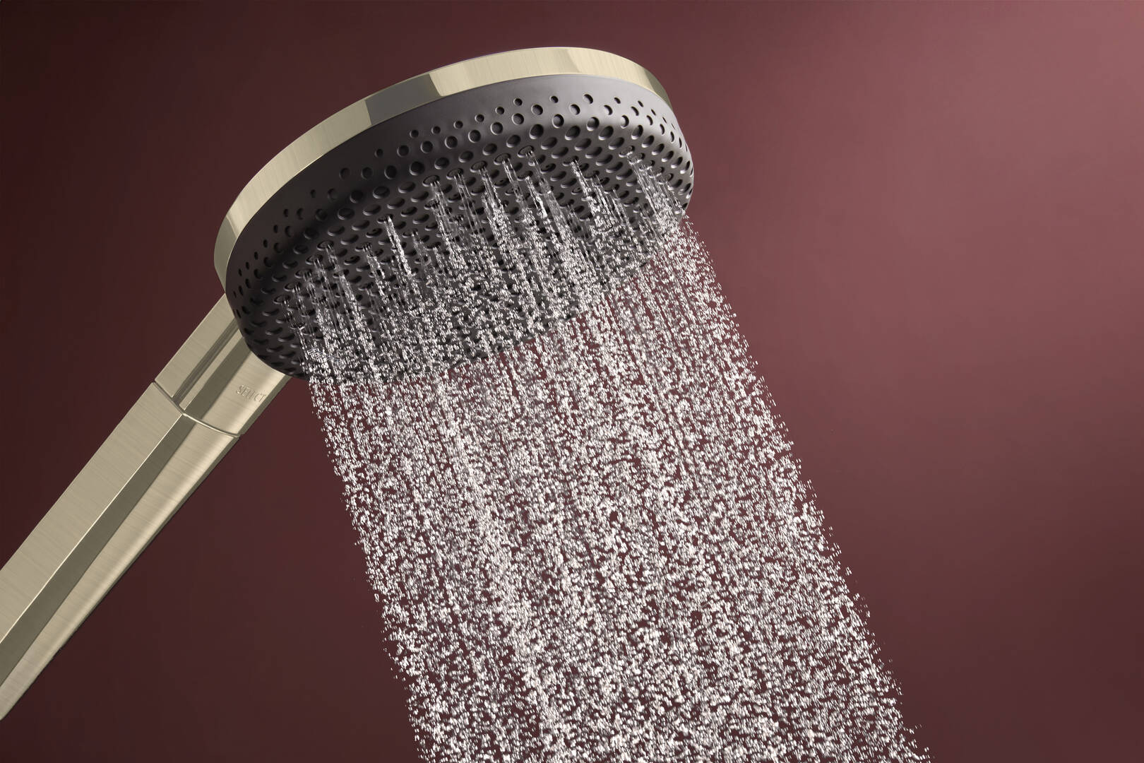 Close-up: Showerhead 300 2-Jet with Showerarm  2.5 GPM