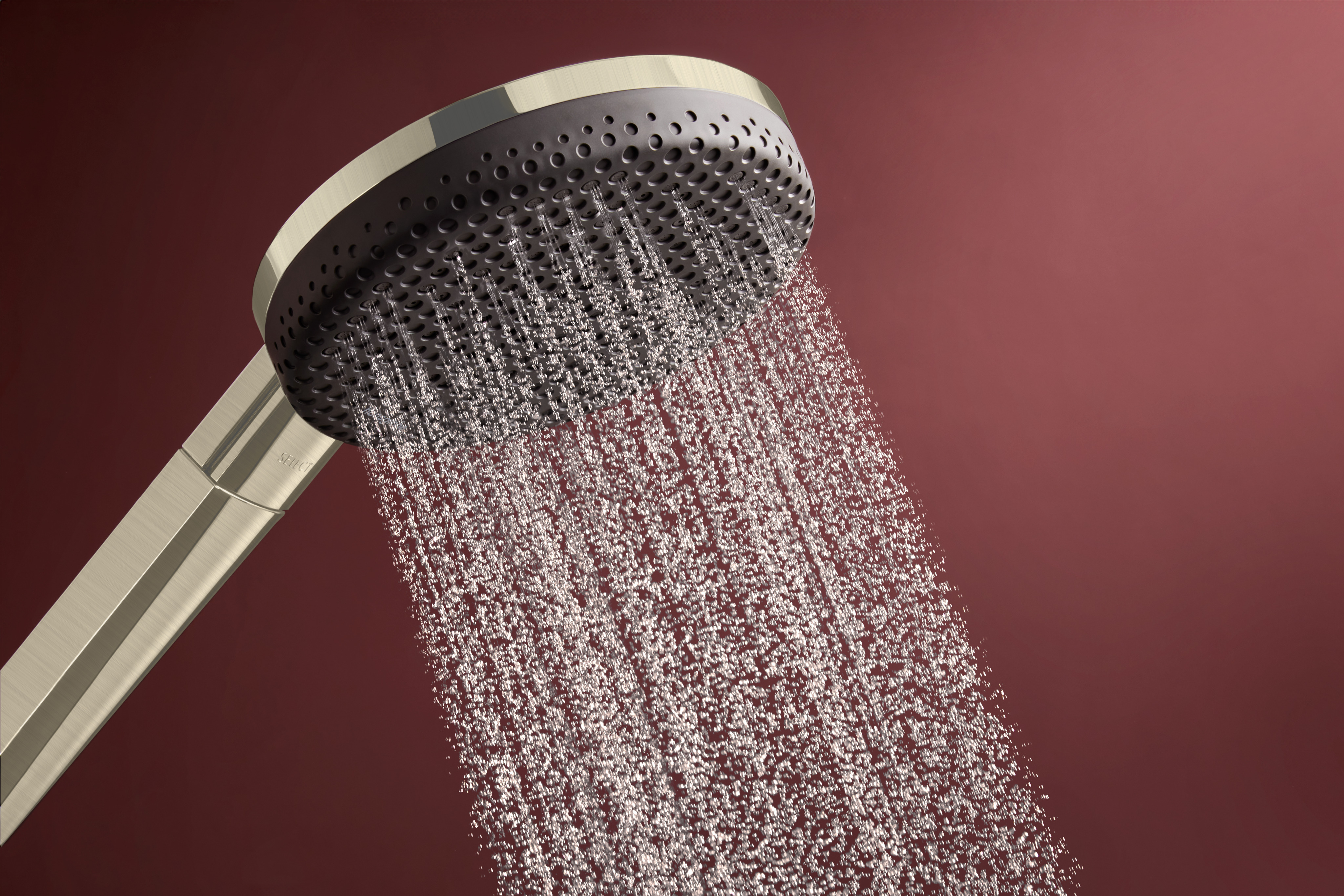 Close-up: Handshower 125 3-Jet  1.75 GPM