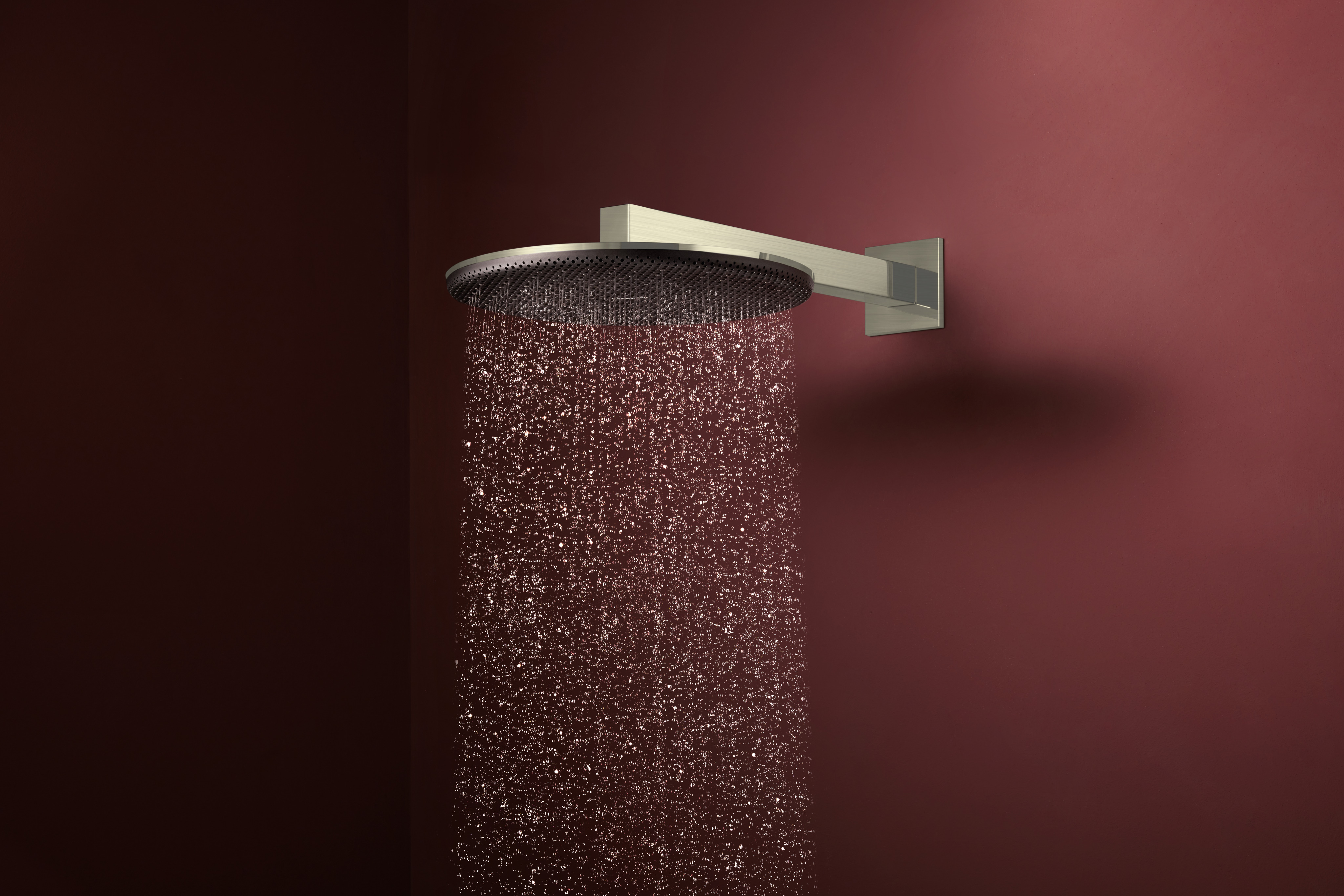 Close-up: Showerhead 300 2-Jet with Showerarm  2.5 GPM