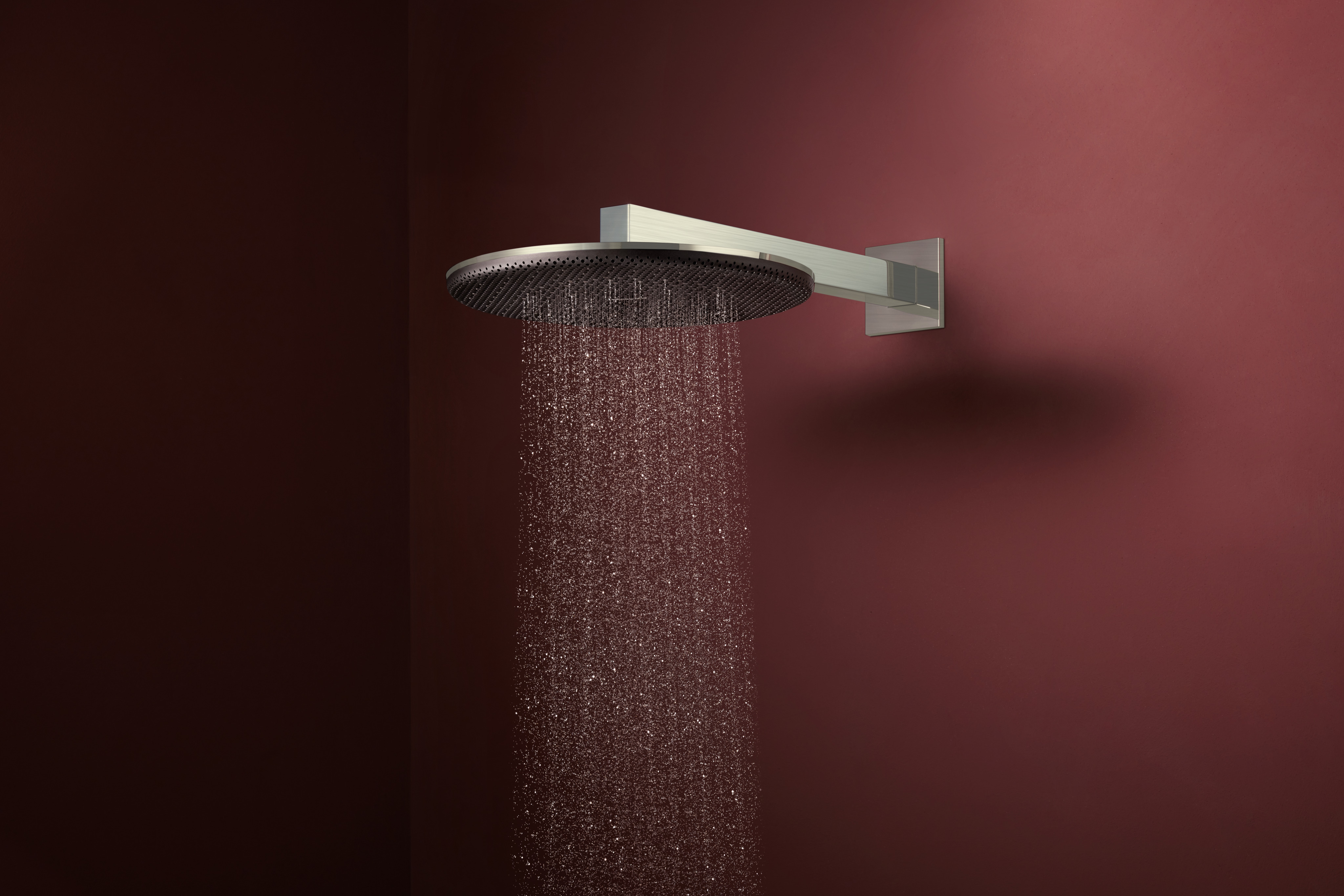 Close-up: Showerhead 300 2-Jet 1.75 GPM with shower arm 2