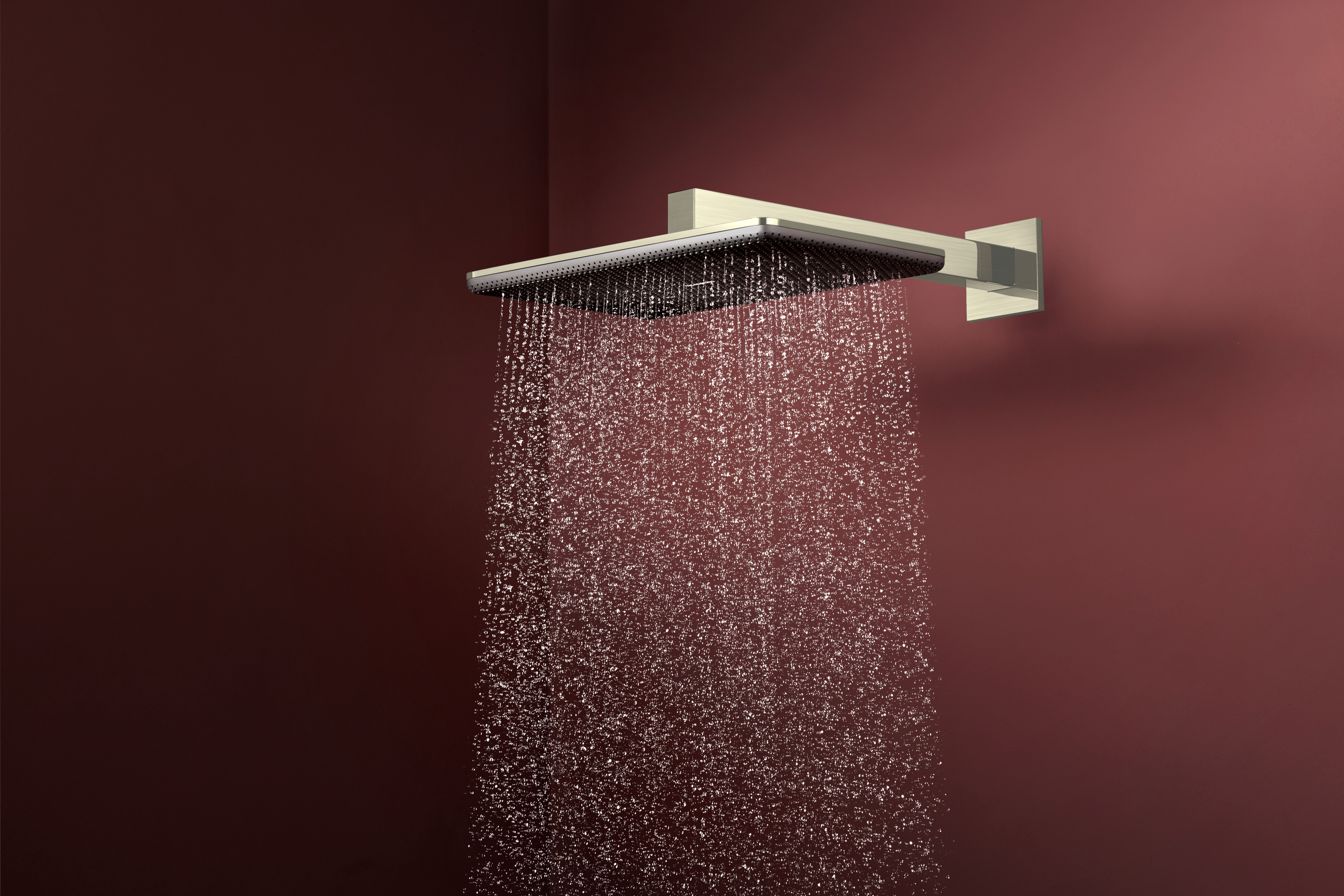 Close-up: Showerhead 210/340 2-Jet with Showerarm  2.5 GPM