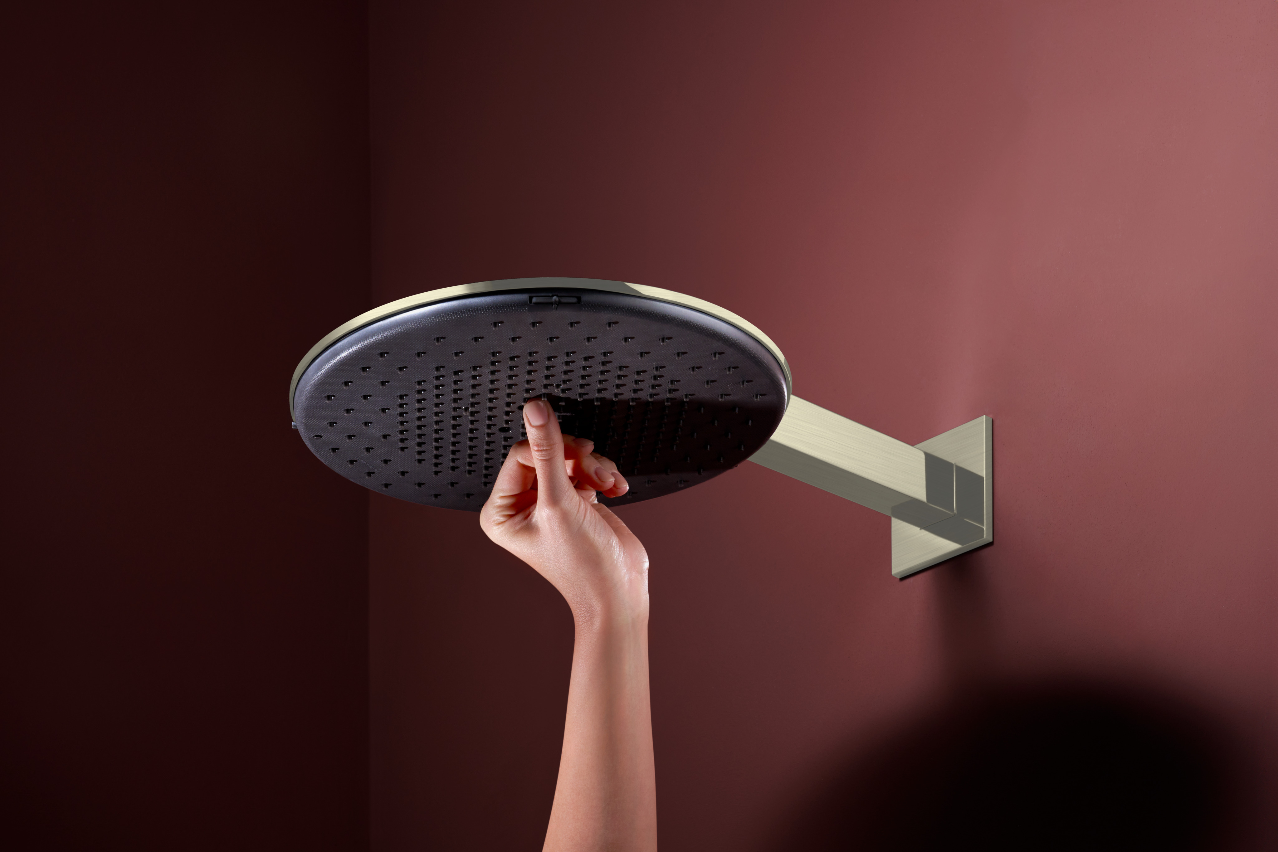 Close-up: Showerhead 300 1-Jet 2.5 GPM 1