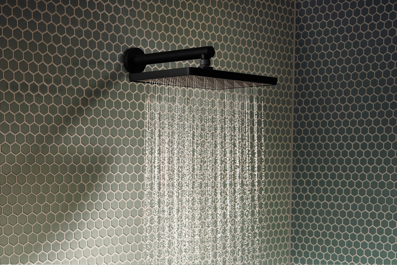 Close-up: Overhead shower 290/180 1jet EcoSmart 1