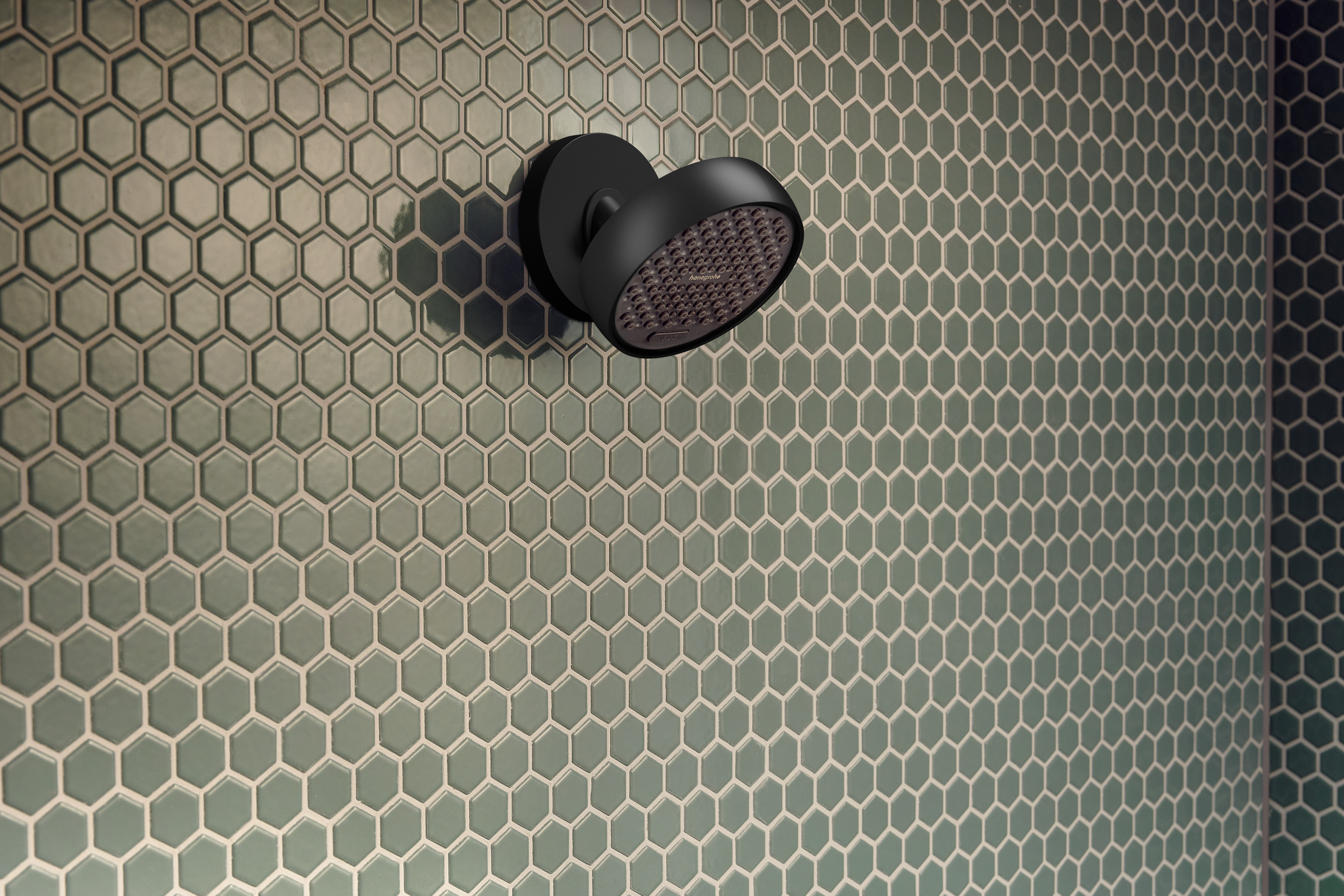 Primo piano: Soffione doccia 95 2jet EcoSmart+ 1