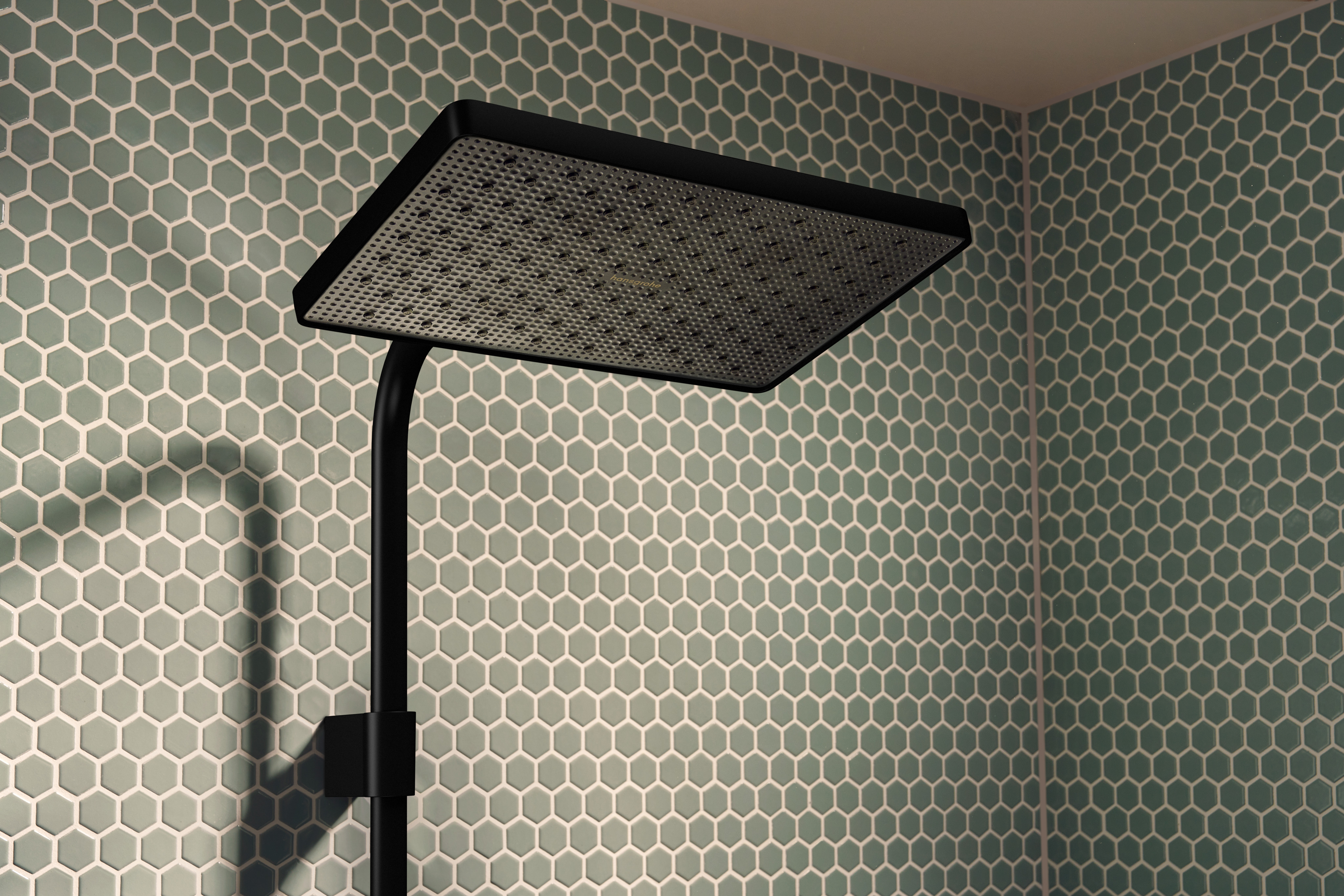 product.closeup.image.alt