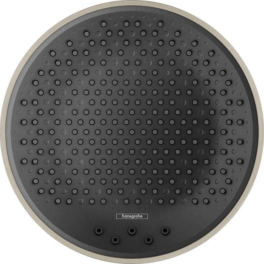 Close-up: Showerhead 250 1-Jet  2.5 GPM