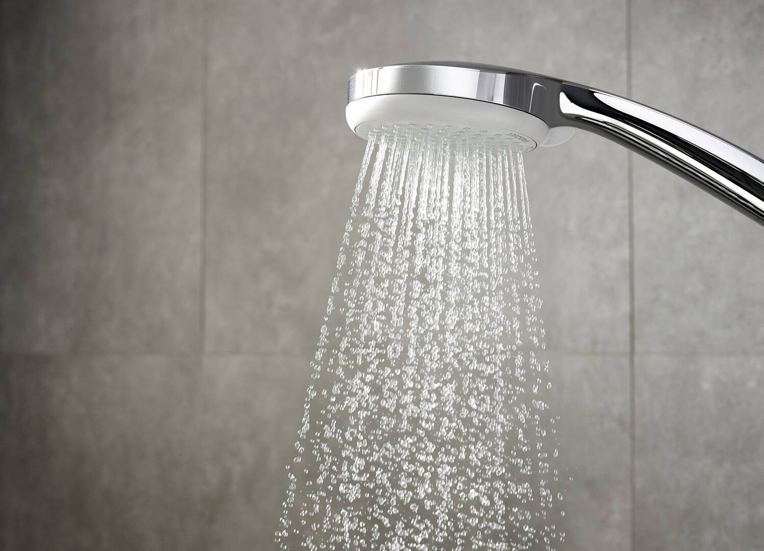 Close-up: Hand shower Vario EcoSmart 1