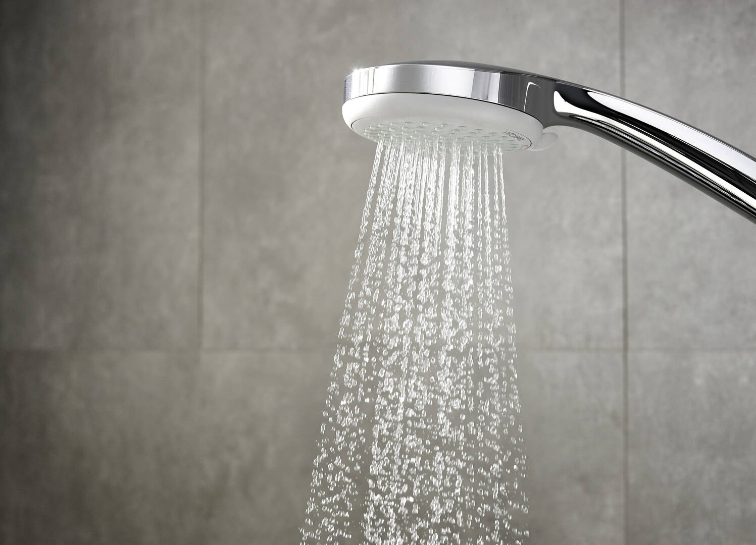 Close-up: Hand shower Vario EcoSmart 2