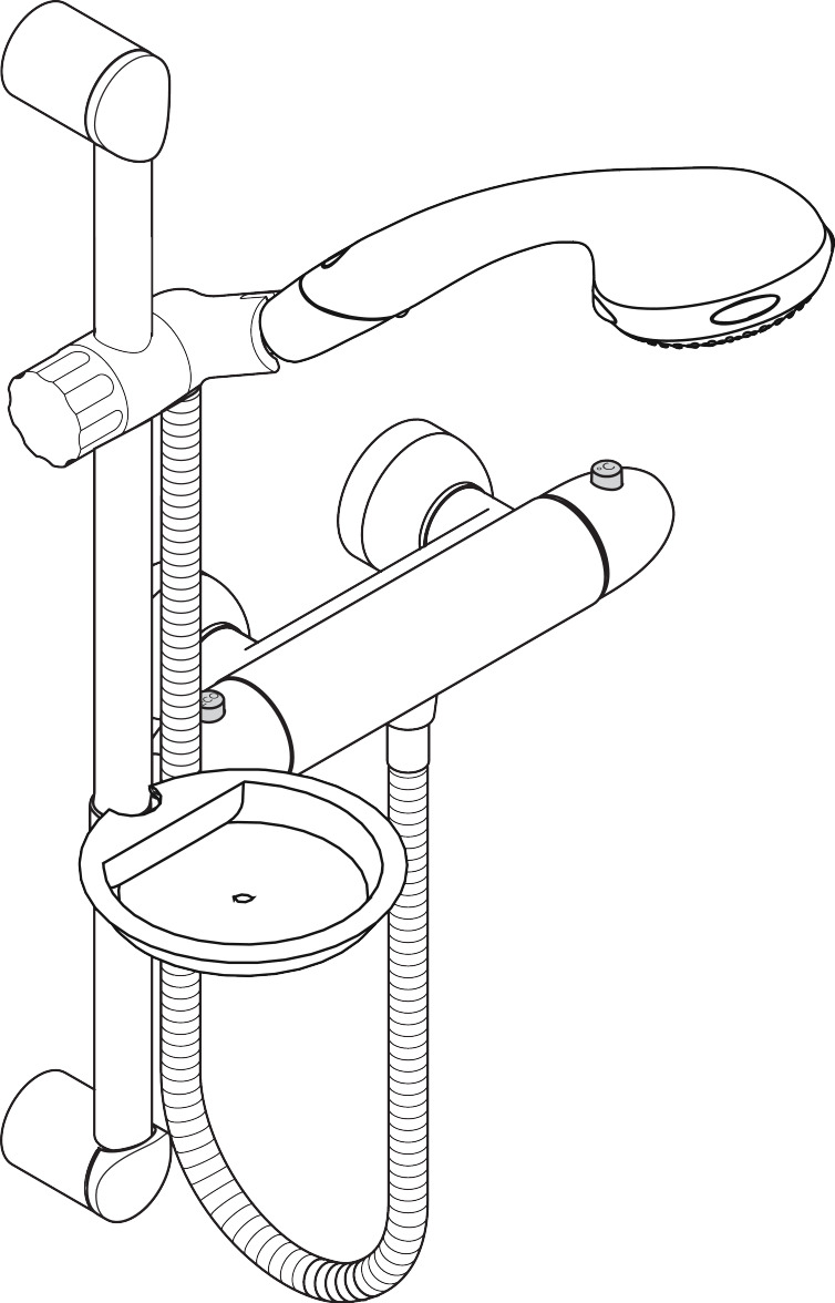 Shower set Ecostat 2001 65 cm