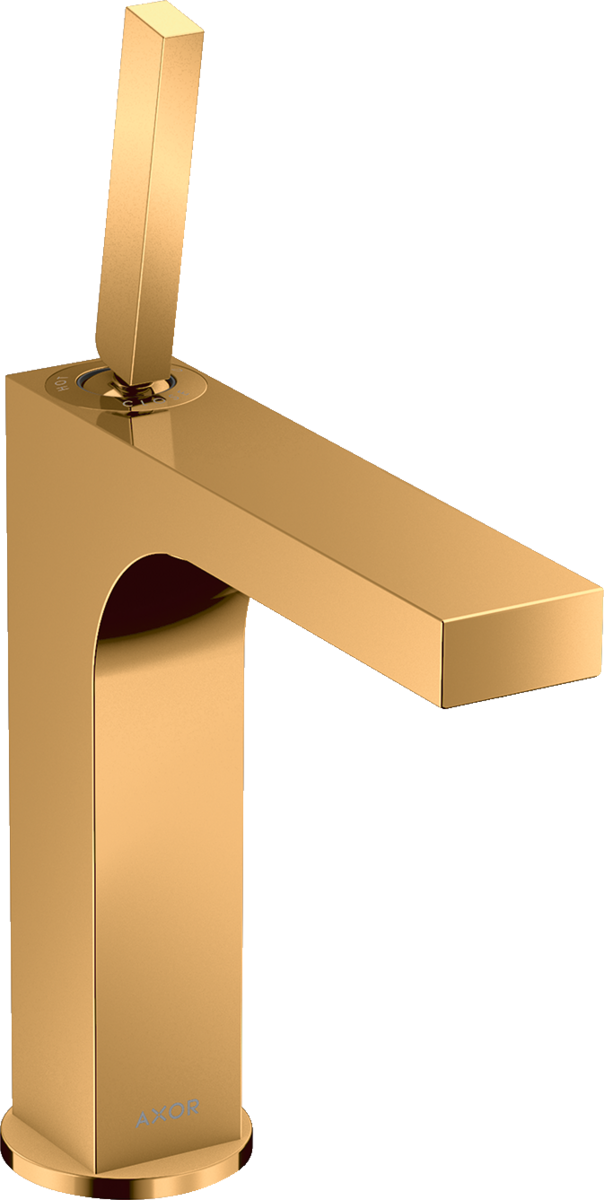 Single lever basin mixer 160 with pin handle and waste set