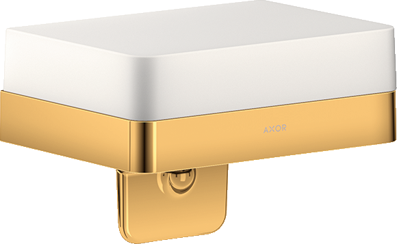 Liquid soap dispenser with shelf