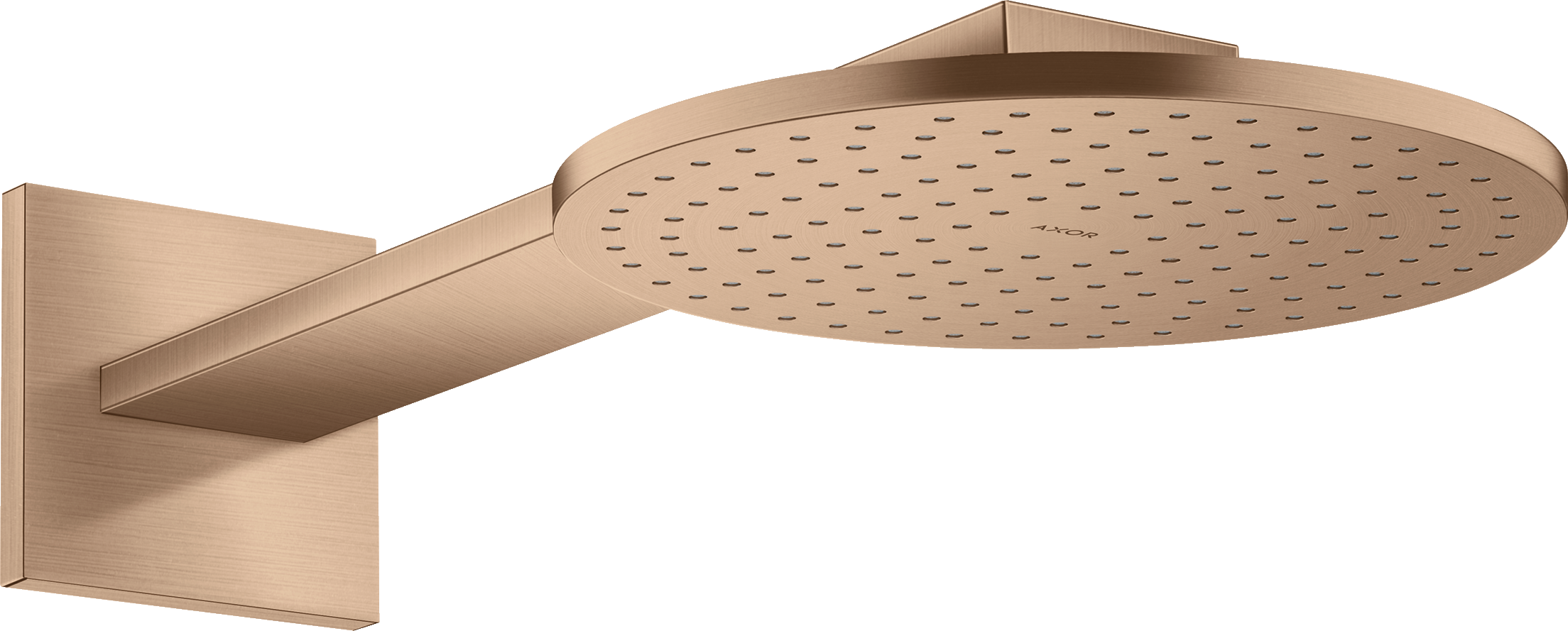 Douche de tête 250 1jet avec bras de douche 450 mm