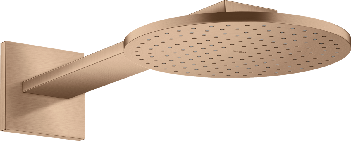 Kopfbrause 250 1jet mit Brausearm