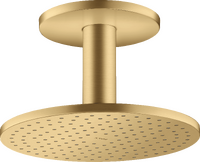 Kopfbrause 250 2jet mit Deckenanschluss