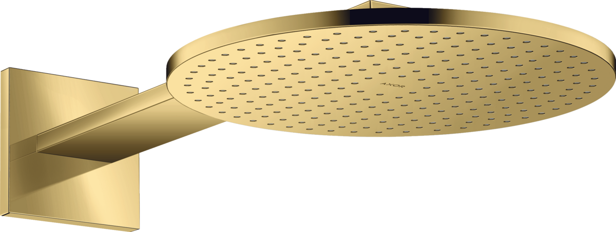 Overhead shower 300 1jet with shower arm